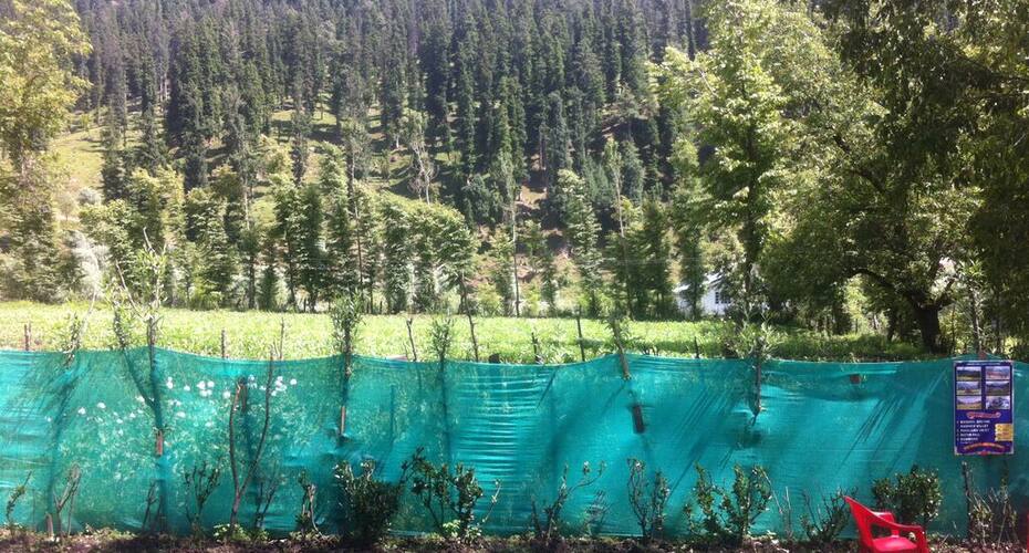 Summer Palace In, Pahalgam 5